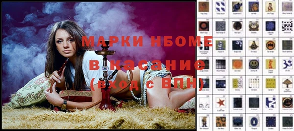 стаф Аркадак