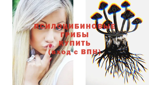 шишки Пересвет