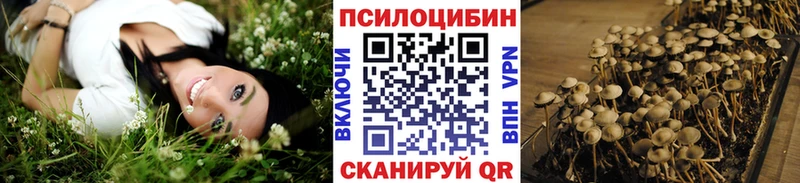 закладки  blacksprut рабочий сайт  Галлюциногенные грибы прущие грибы  Минеральные Воды 